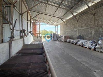 Detaljnije : POSLOVNI PROSTOR, >5.0, prodaja, Novi Sad, 3249 m2, 500000e