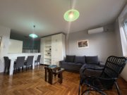 Detaljnije: STAN, 1.0, izdavanje, Novi Sad, 41 m2, 400e